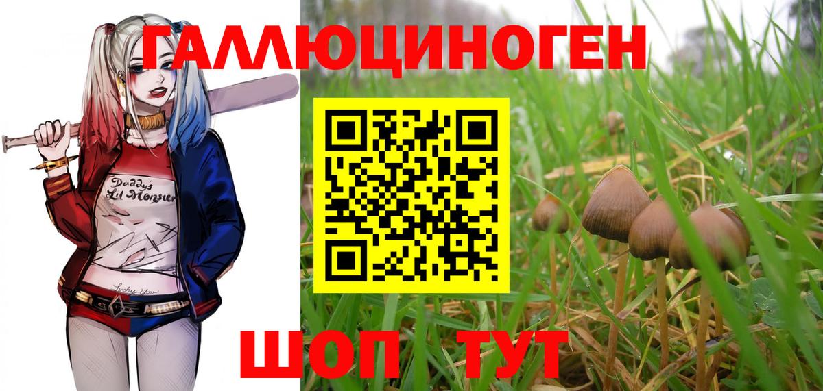 Тейково  Псилоцибиновые грибы Psilocybe  Вход с VPN 