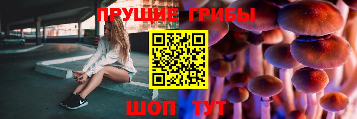 Галлюциногенные грибы мицелий Тейково